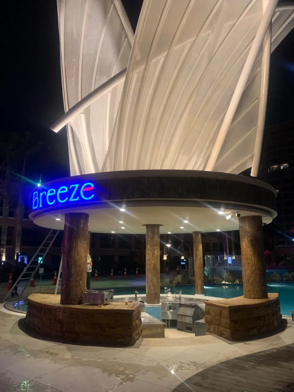 Breeze — Swim-Up Pool Bar — photo 5