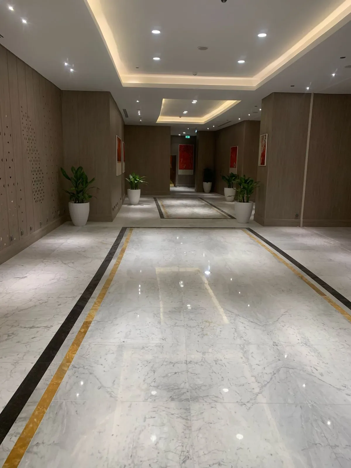 The Tunnel — Immersive Walkway — photo 31